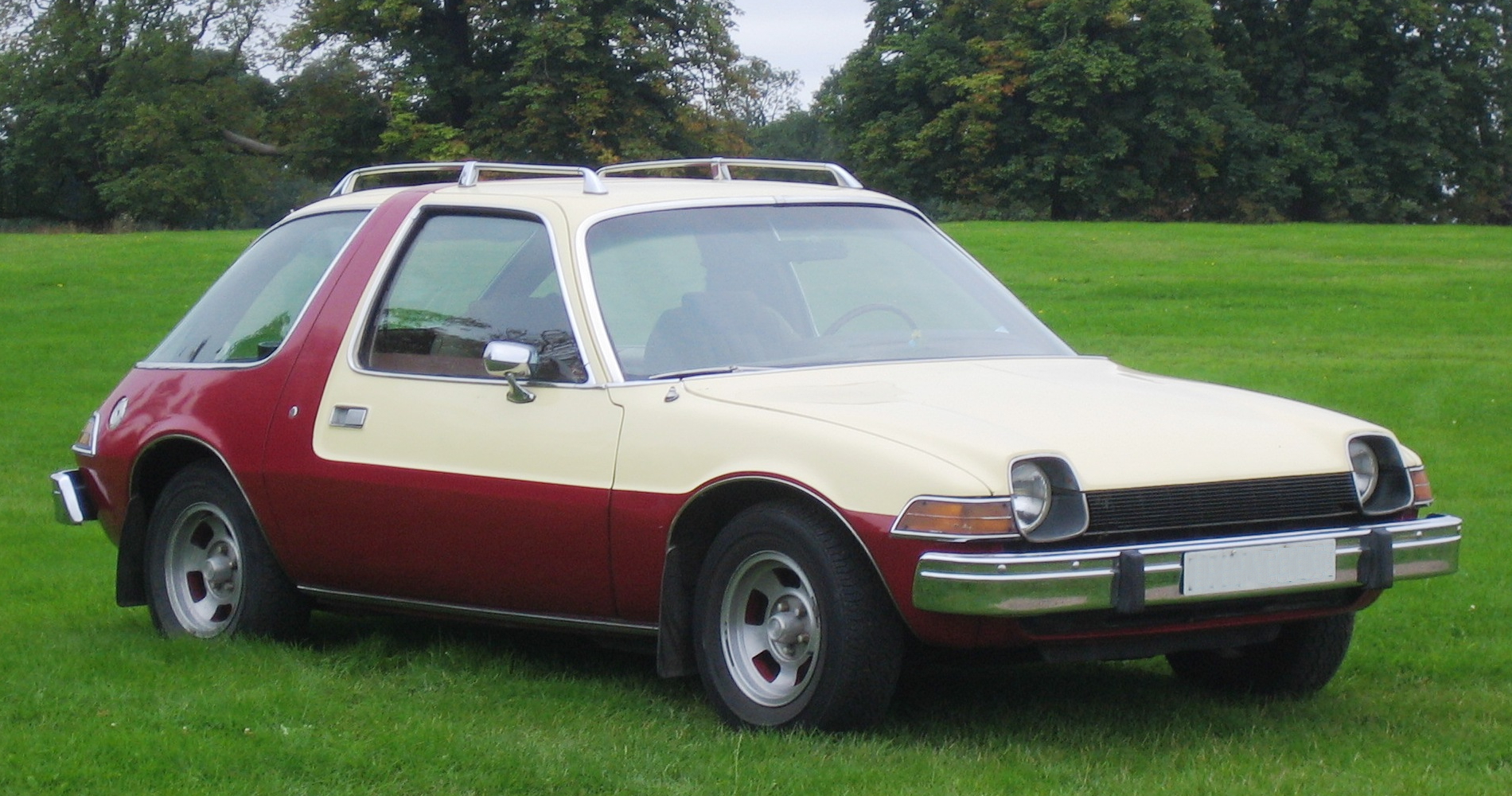 1975 Pacer #14