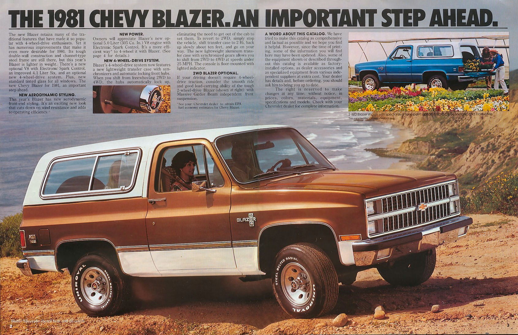 1981 Blazer #2