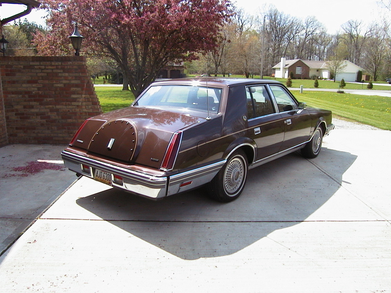 1983 Continental #8