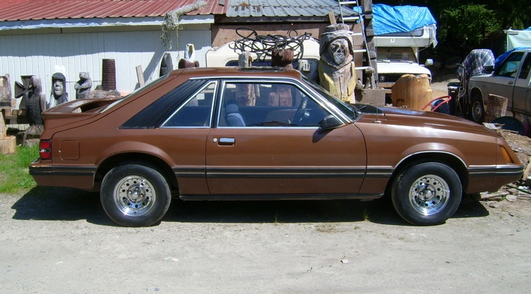 1983 Mustang #15