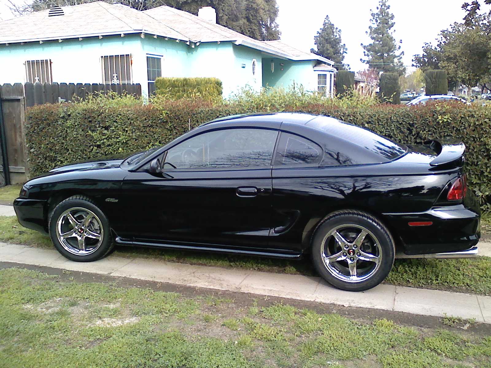 1996 Mustang #1