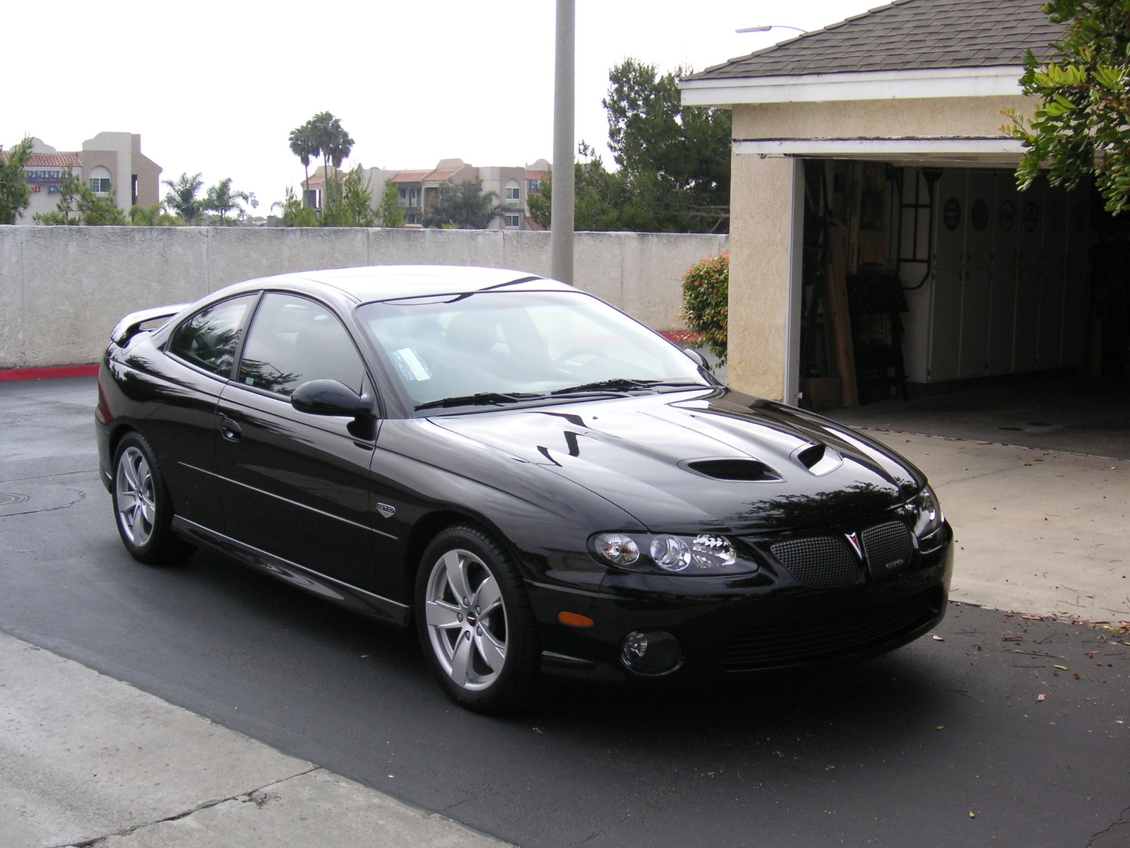 2005 GTO #1