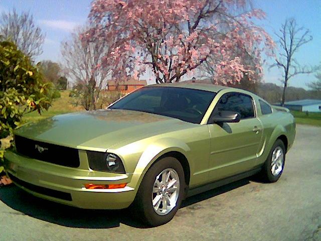 2006 Mustang #1