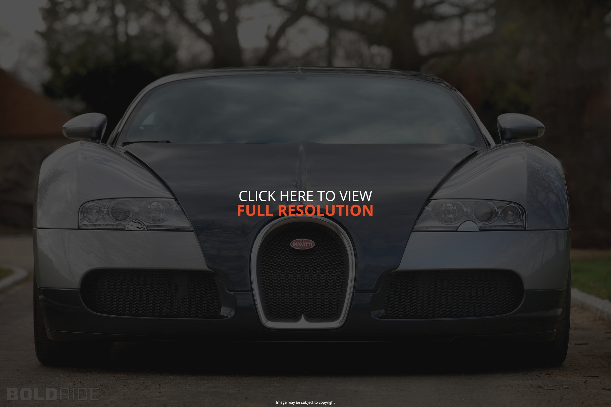 Bugatti Veyron 16.4 #11