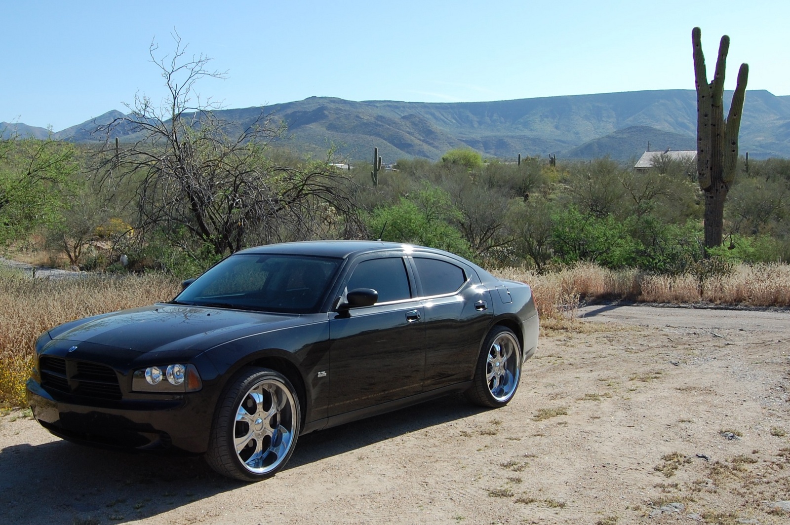 2008 Charger #14