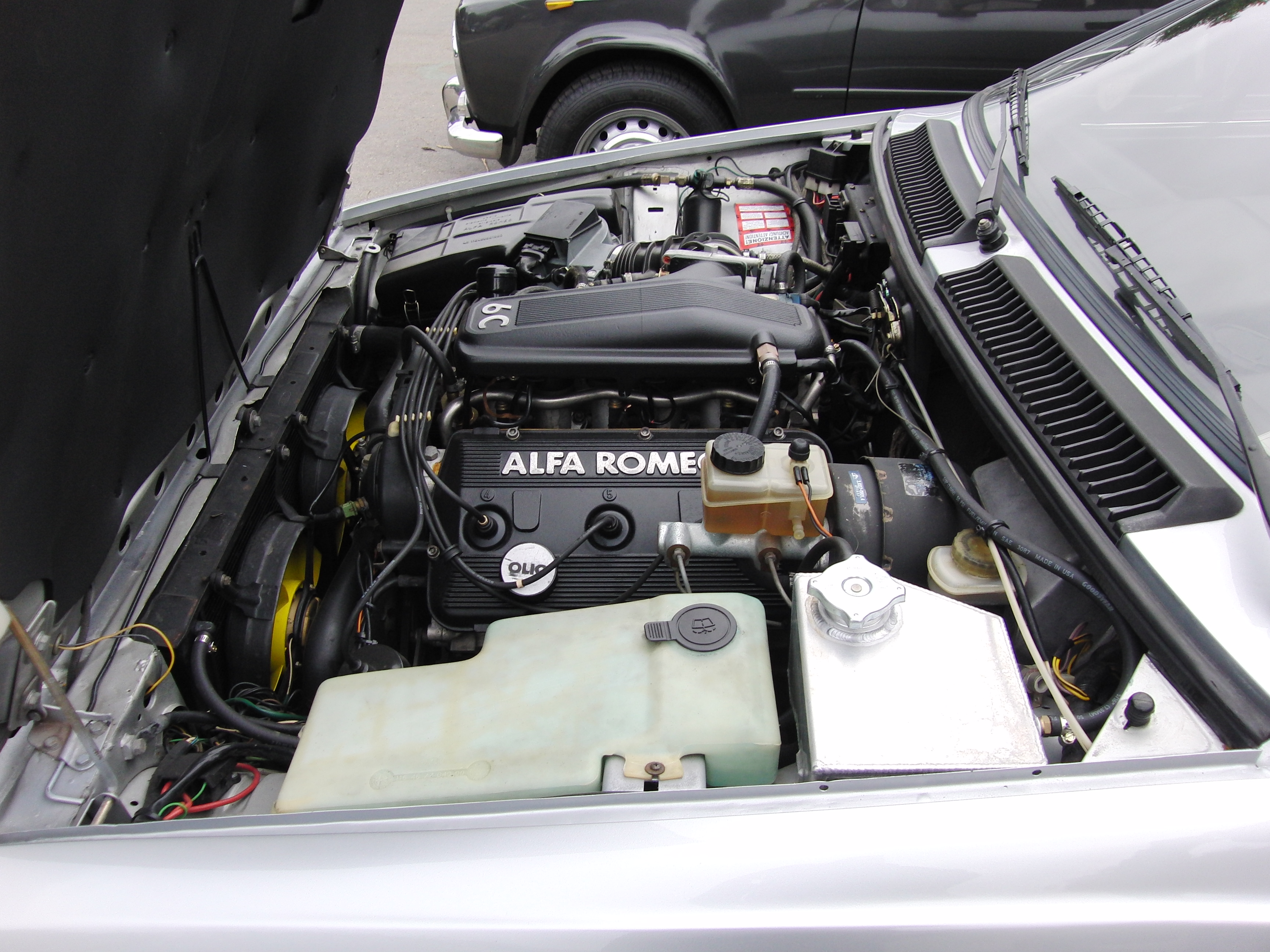 Alfa Romeo GTV-6 #5