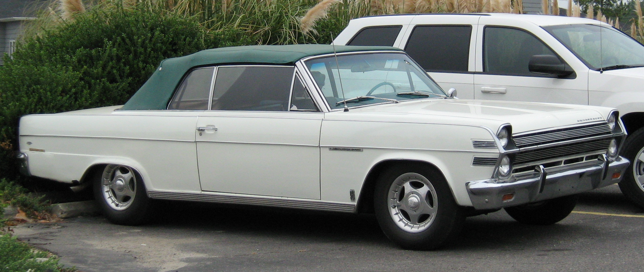 American Motors Ambassador 1966 #4