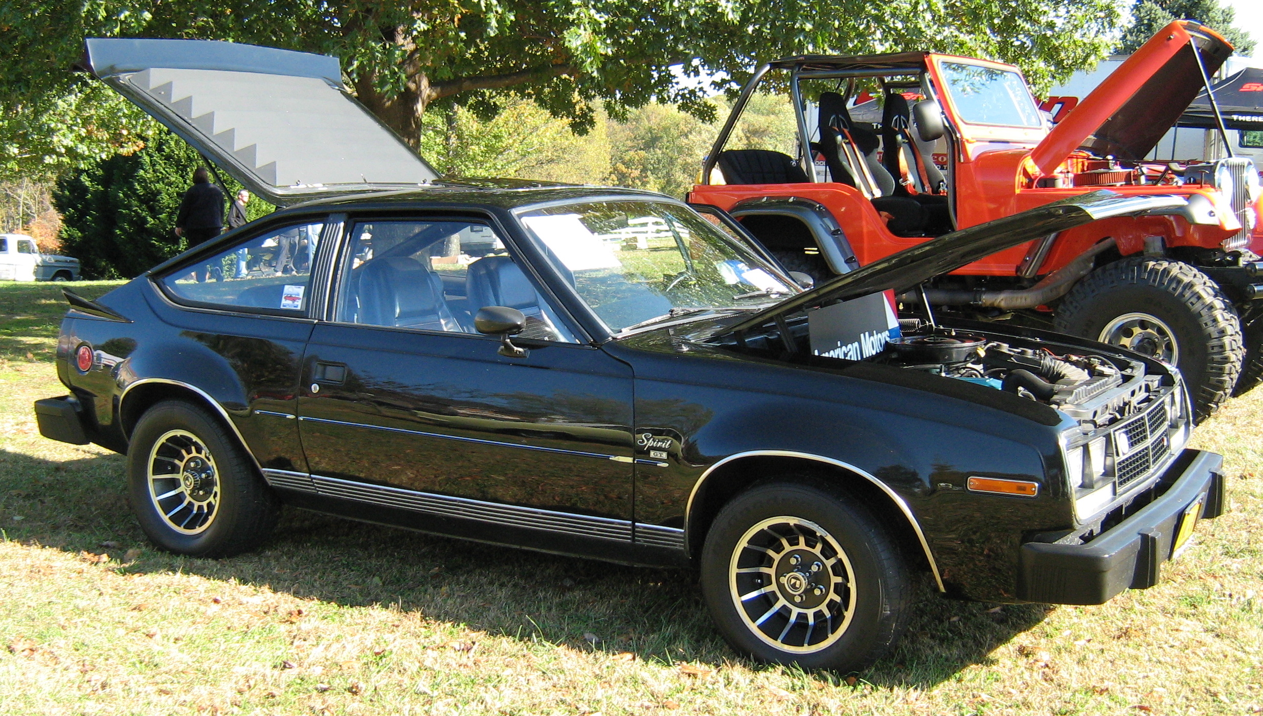 American Motors Spirit 1983 #16