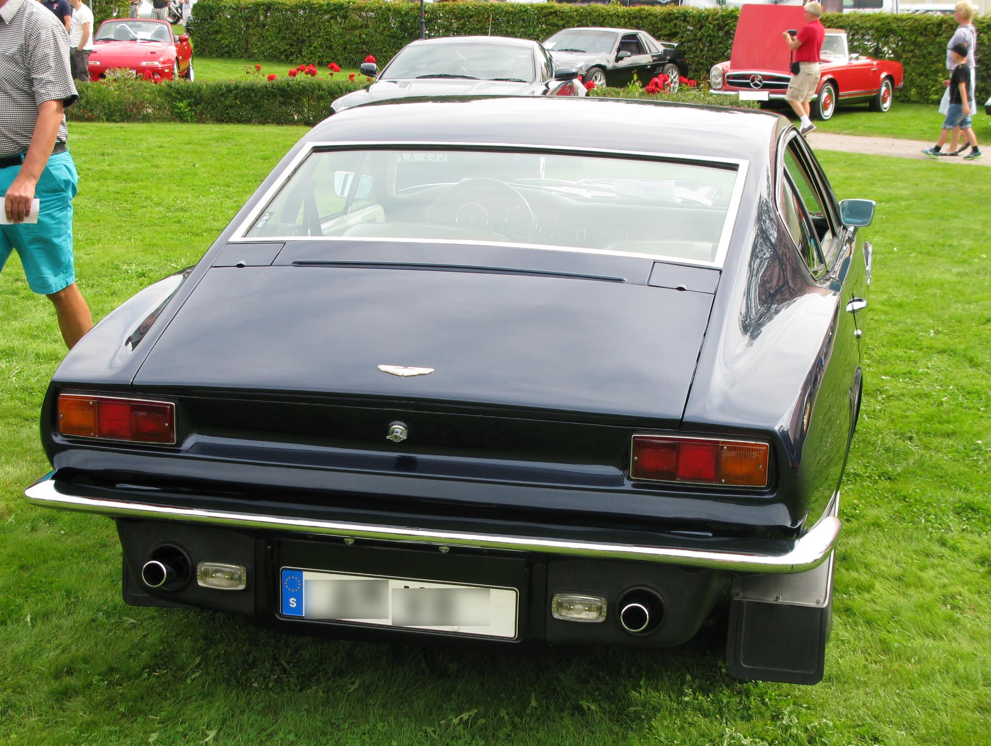 Aston Martin V-8 1973 #2