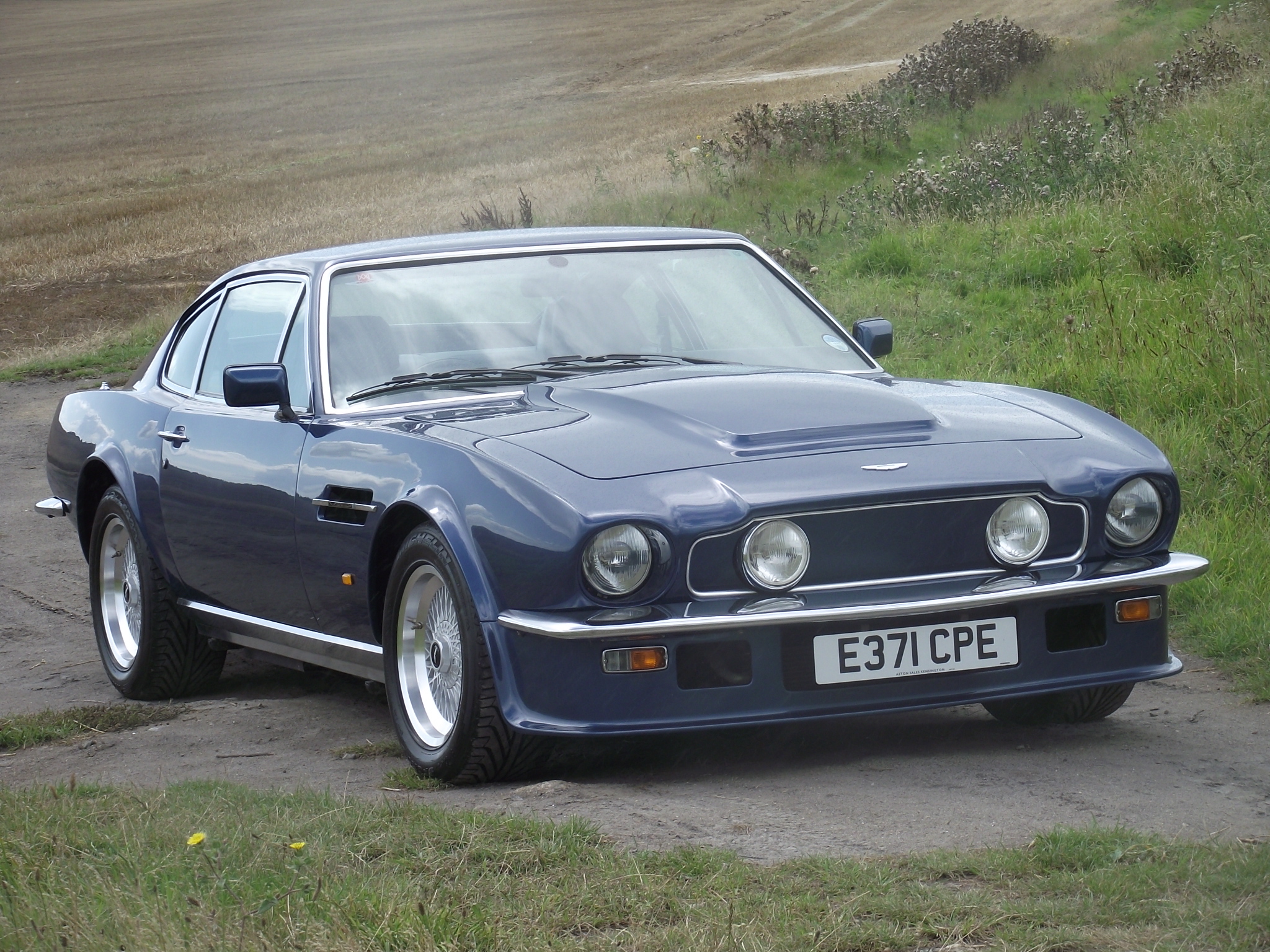 Aston Martin V-8 1975 #10