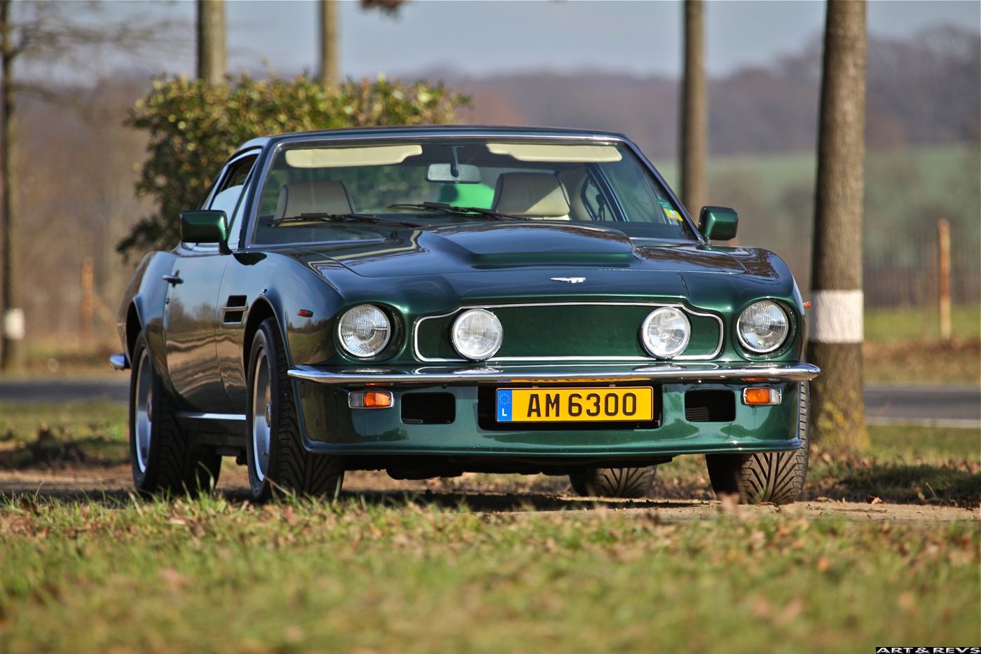 Aston Martin Vantage 1983 #11