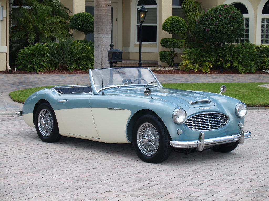 Austin-Healey #5