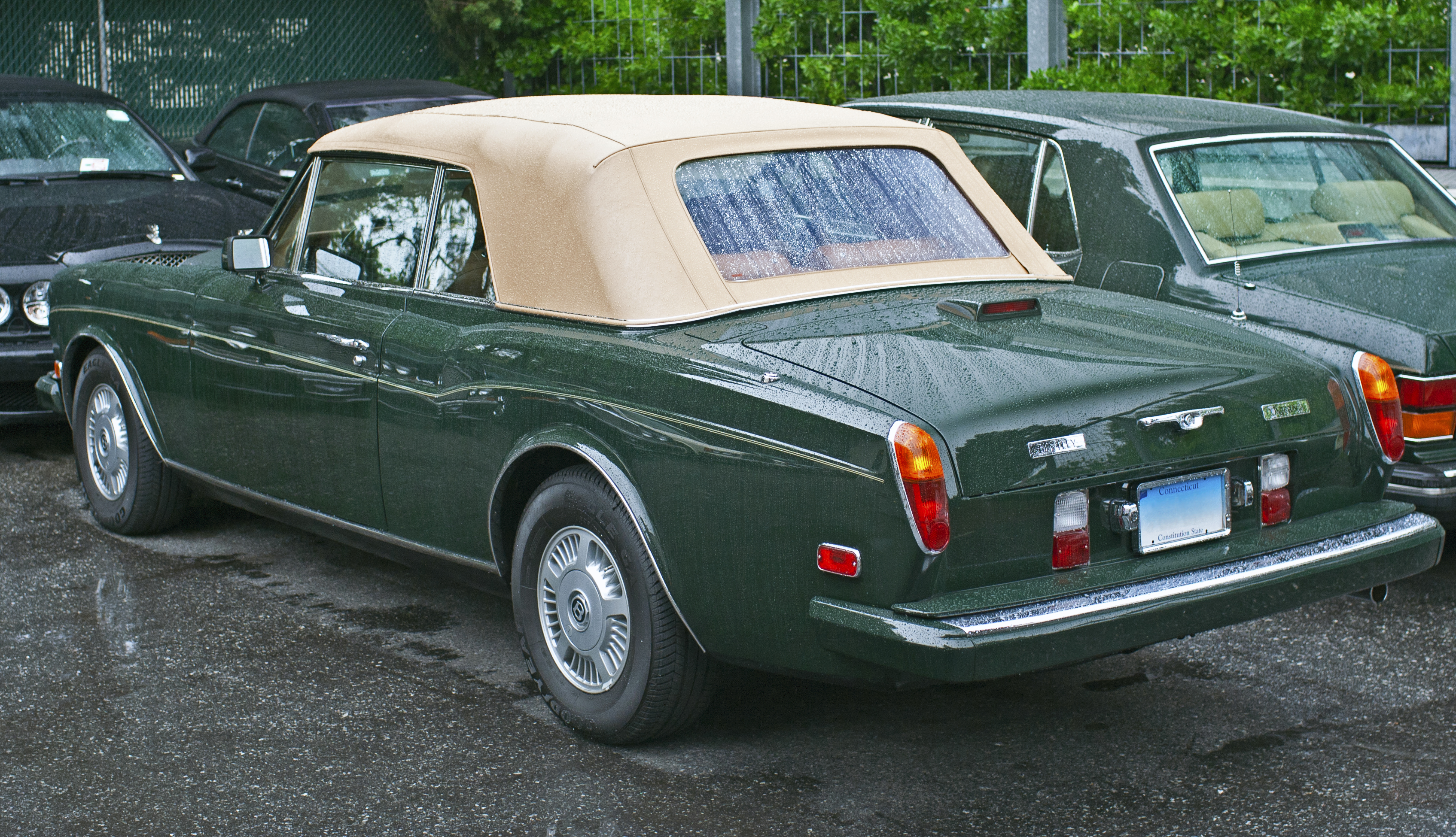 Bentley Corniche 1981 #1