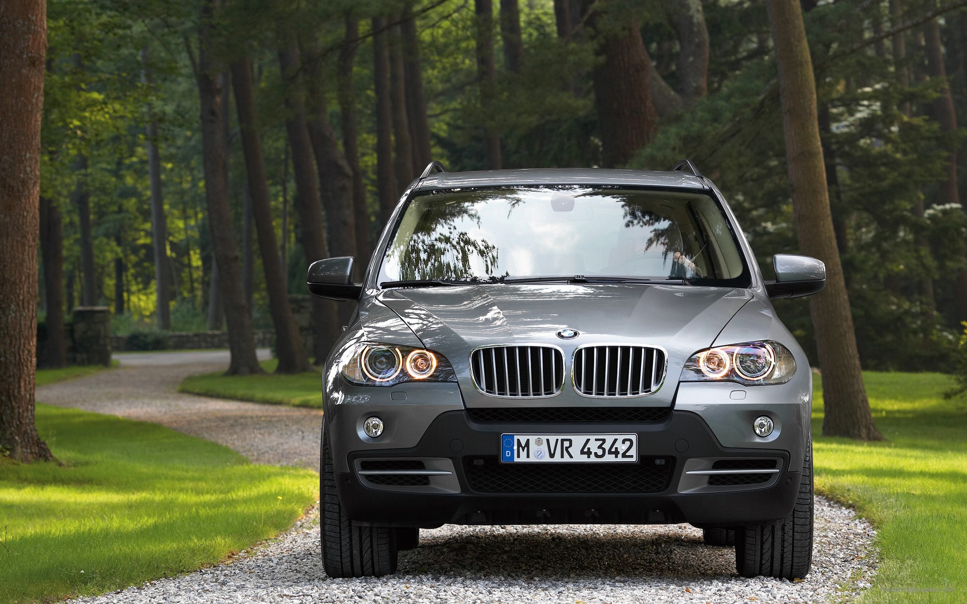 BMW X5 #8