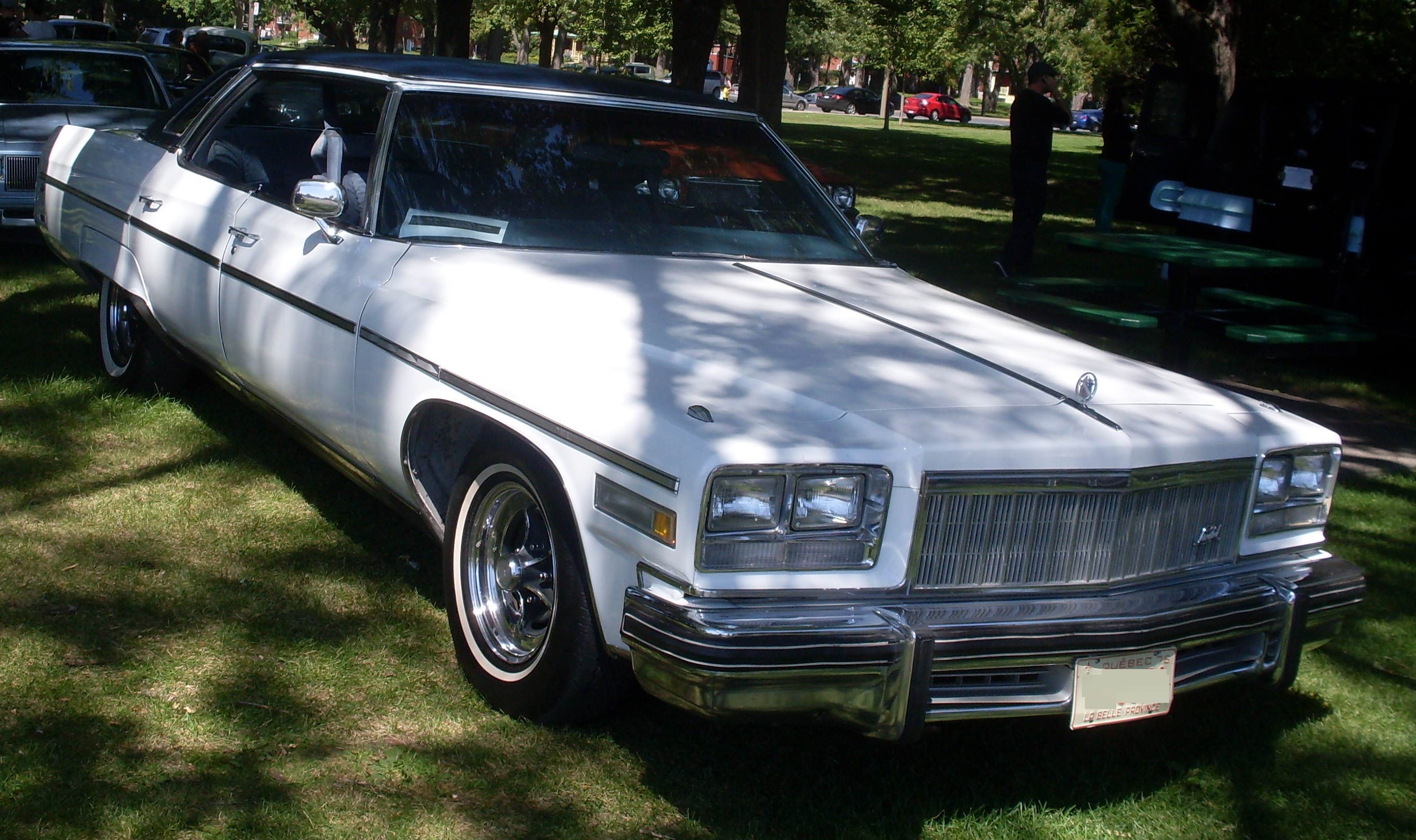 Buick Electra 225 1976 #7