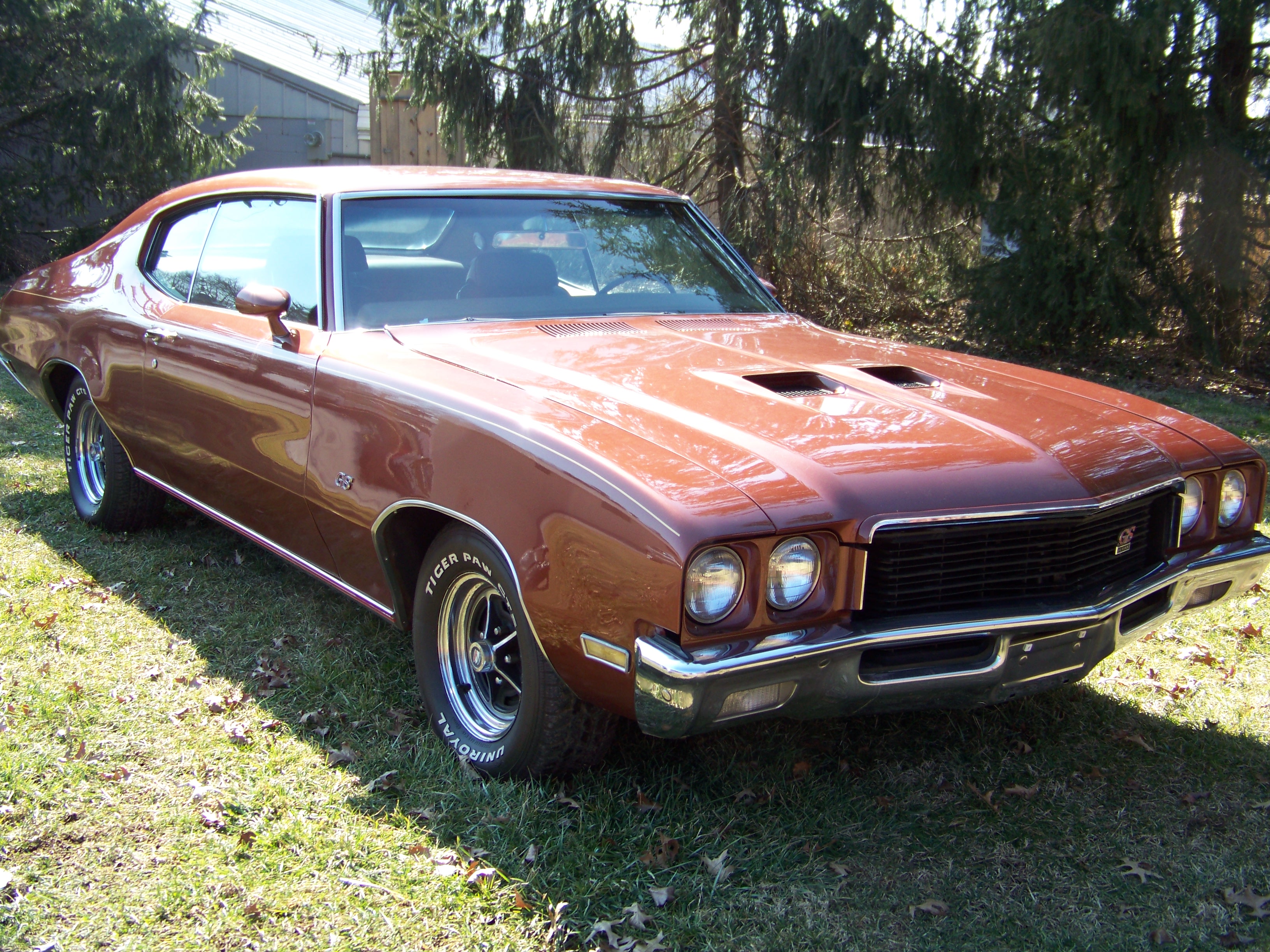 Buick GS 1971 #2