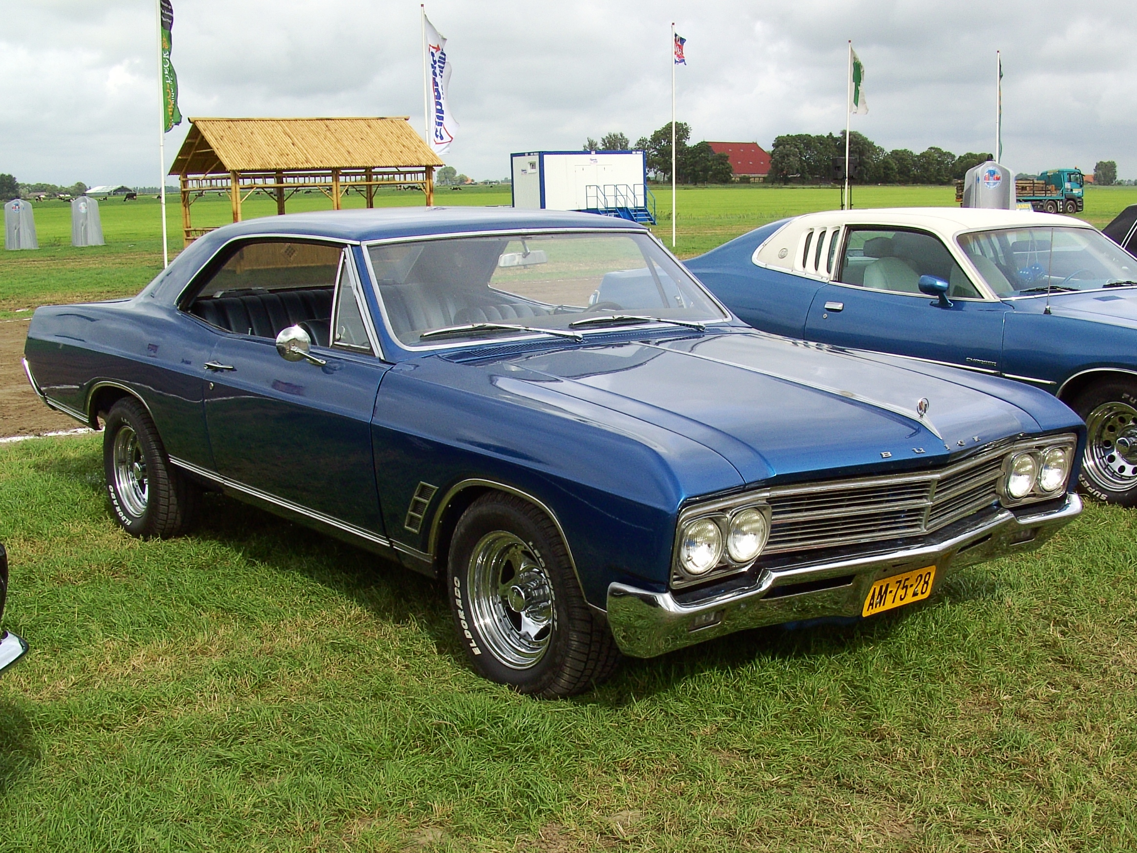 Buick Skylark 1966 #4