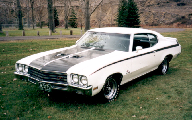 Buick Skylark 1971 #1