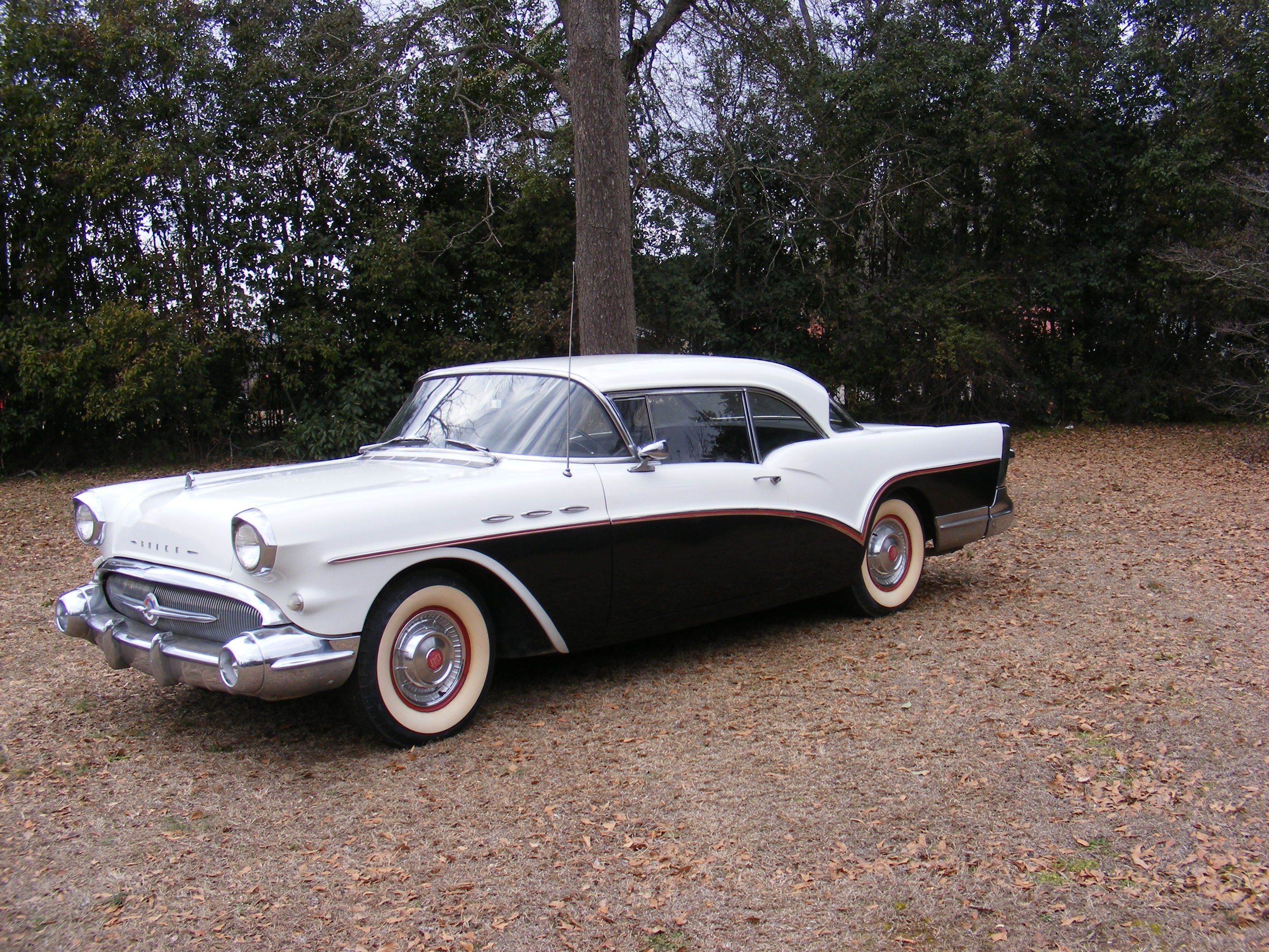Buick Special #2
