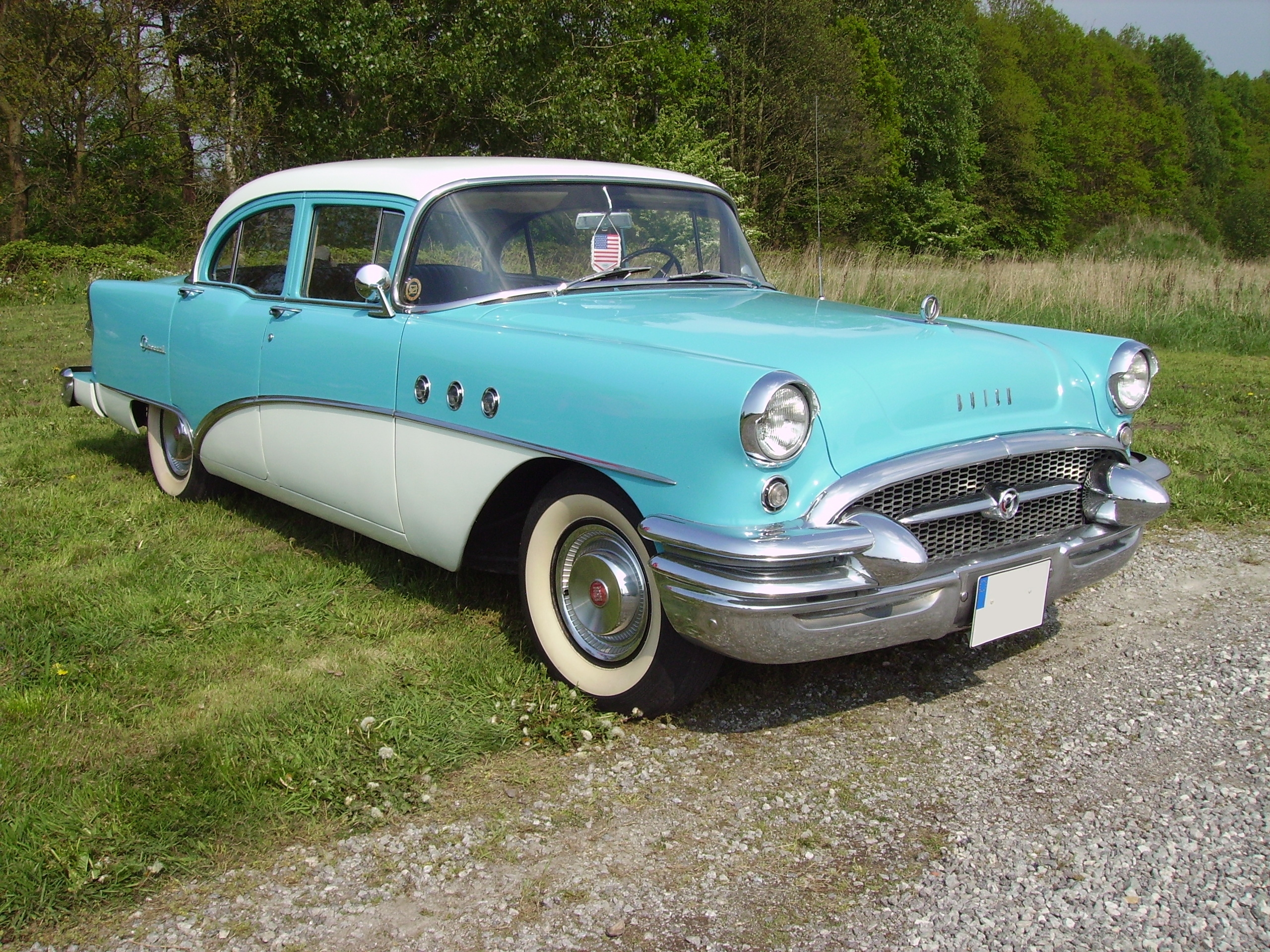 Buick Special #6