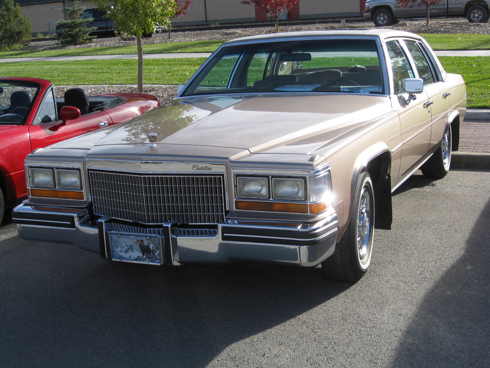 Cadillac DeVille 1980 #6