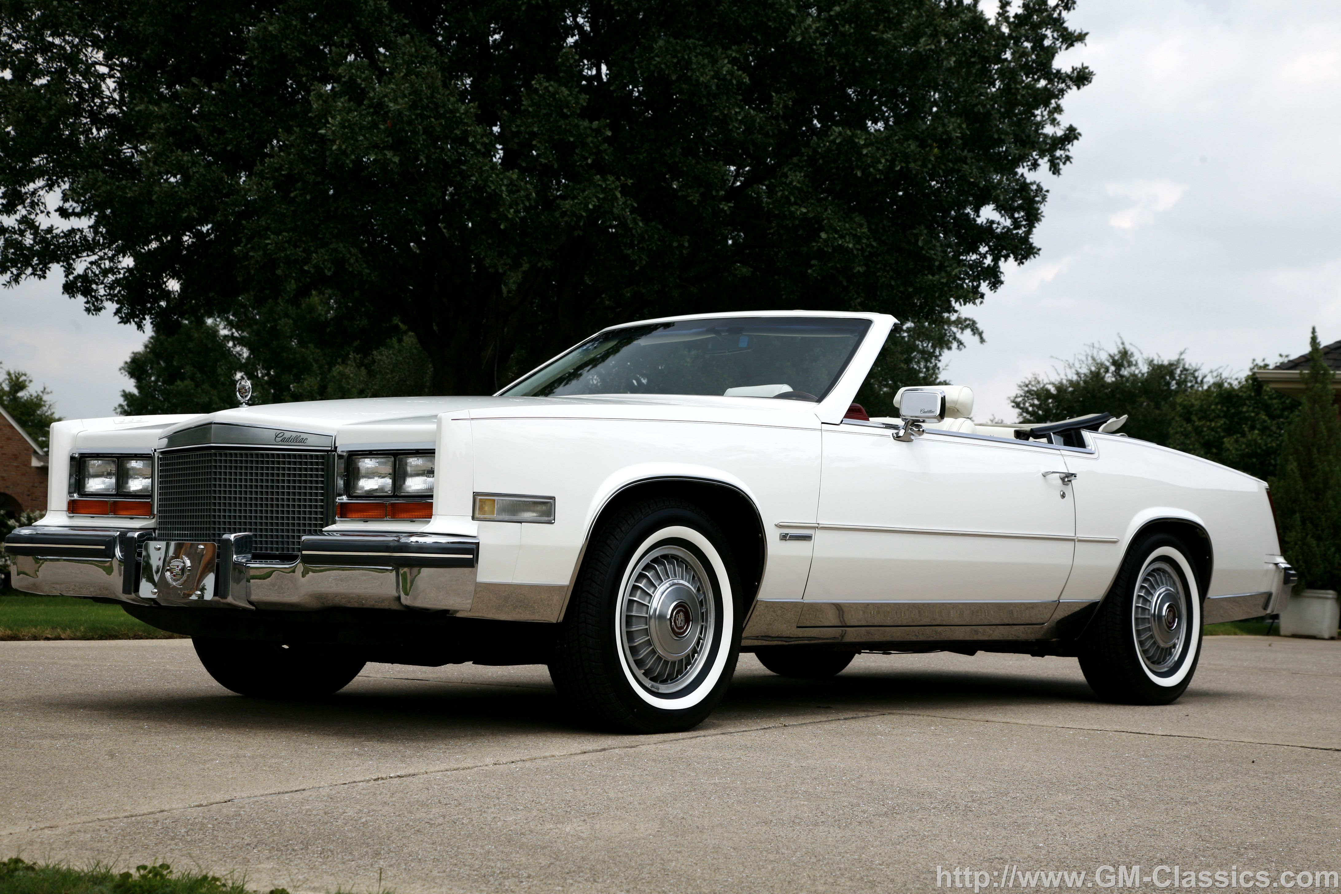Cadillac Eldorado 1981 #8
