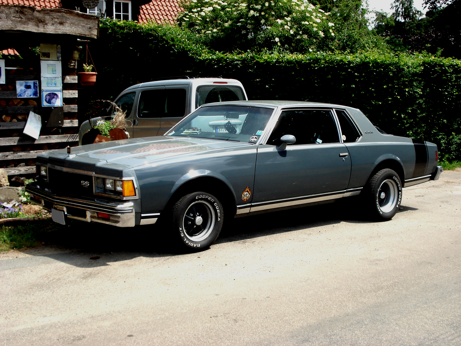 Chevrolet Caprice 1977 #11