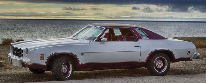 Chevrolet Laguna S-3 1974 #8
