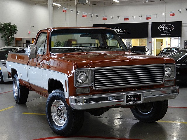 Chevrolet Pickup 1976 #11