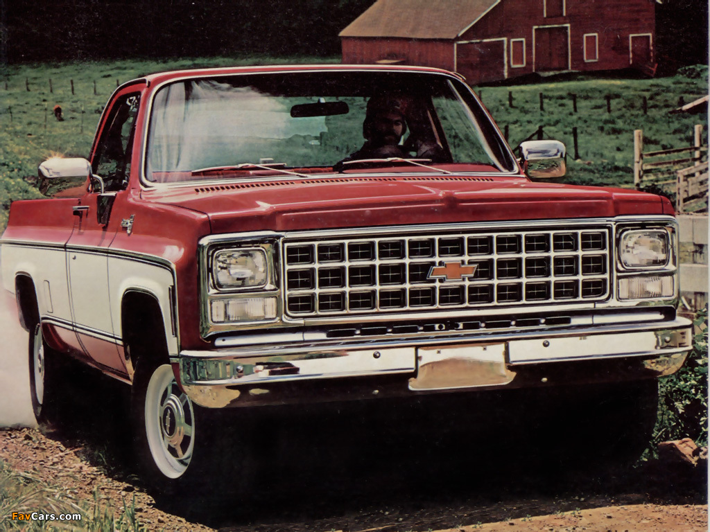 Chevrolet Pickup 1980 #9