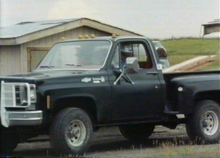 Chevrolet Stepside Pickup 1975 #4