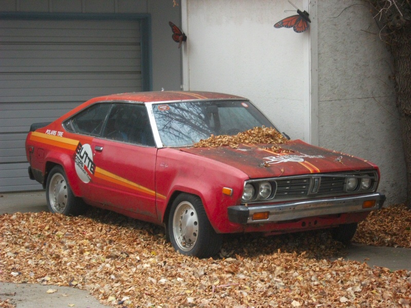 Datsun 510 1981 #7