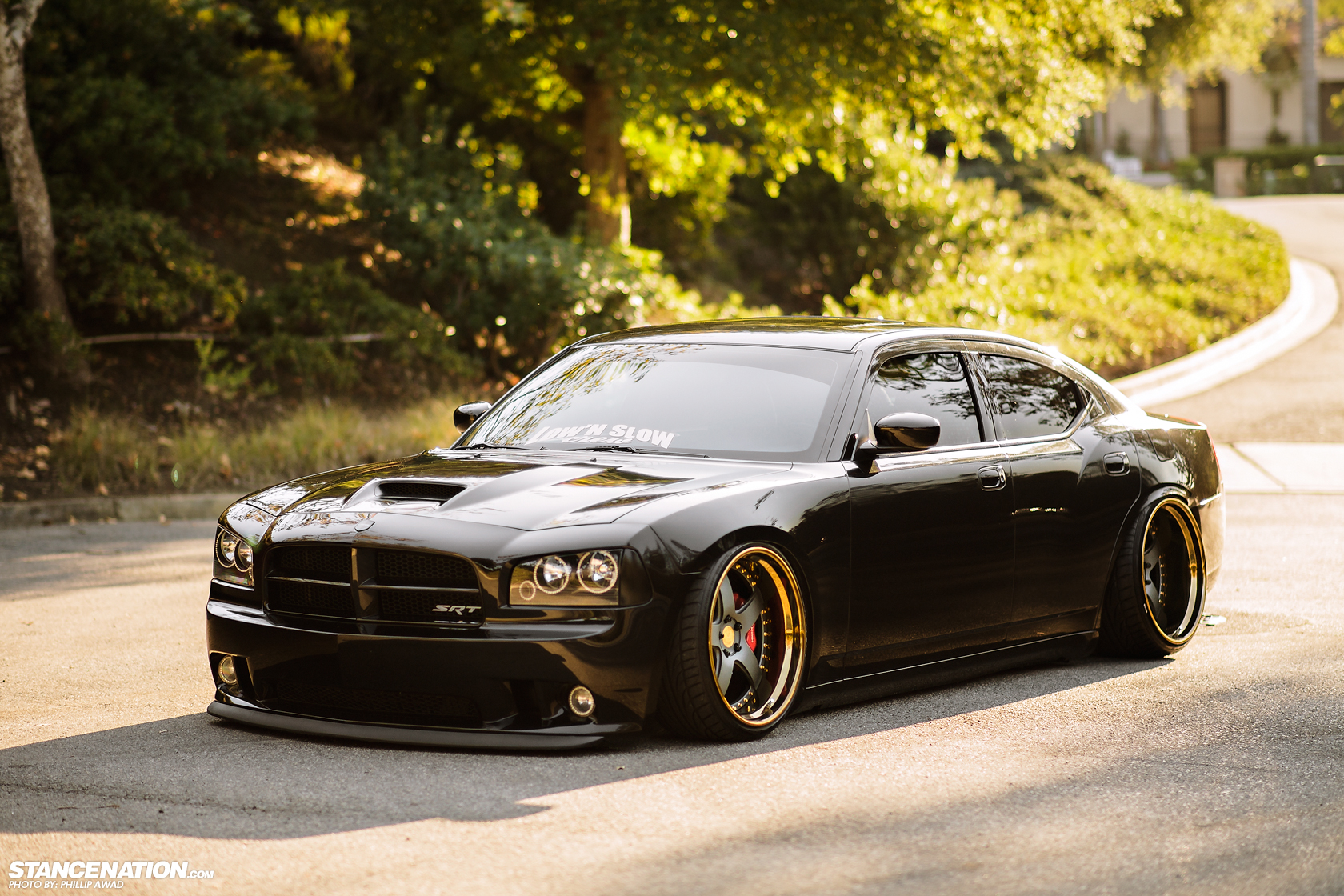 Dodge Charger #8