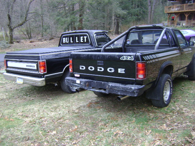 Dodge Dakota 1990 #12