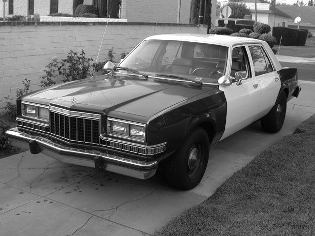 Dodge Diplomat 1989 #8