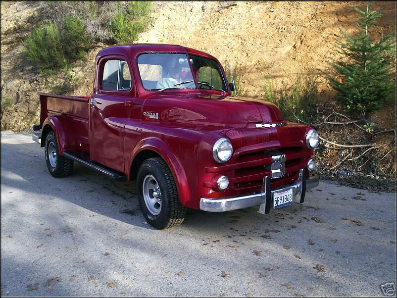 Dodge Pickup 1954 #9