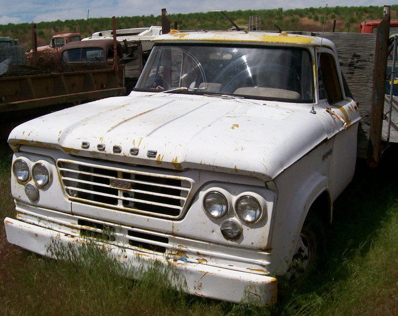 Dodge Pickup 1964 #1