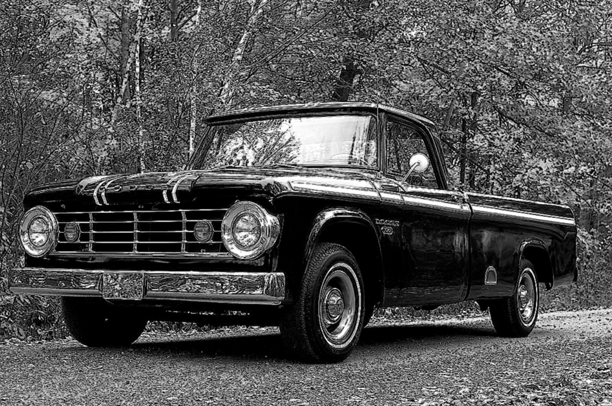 Dodge Pickup 1965 #9