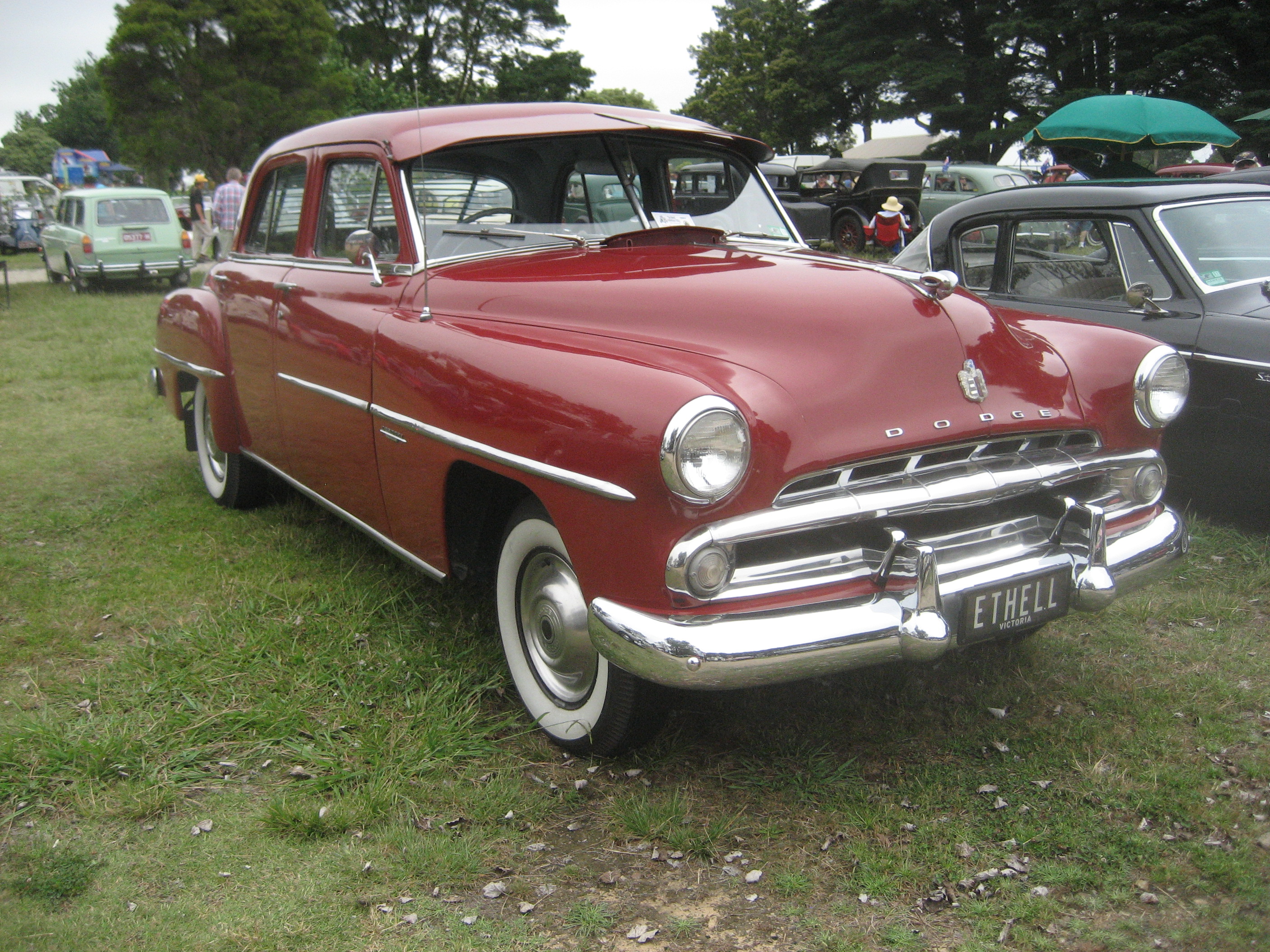 Dodge Platform 1955 #5
