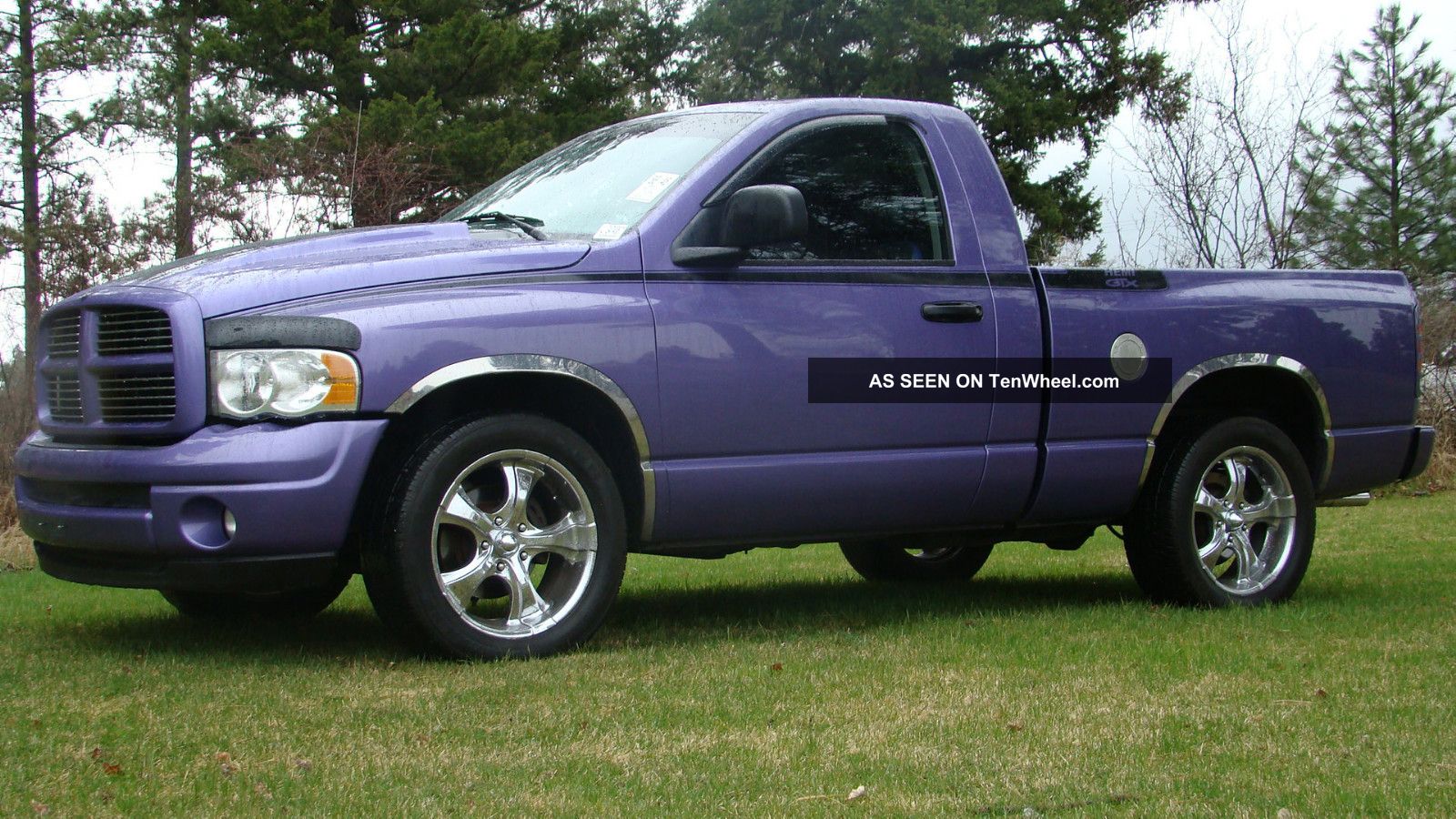 Dodge Ram Pickup 1500 2004 #6
