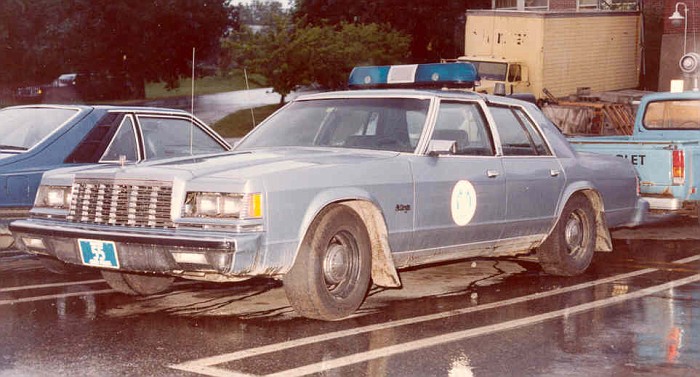 Dodge St Regis 1980 #11