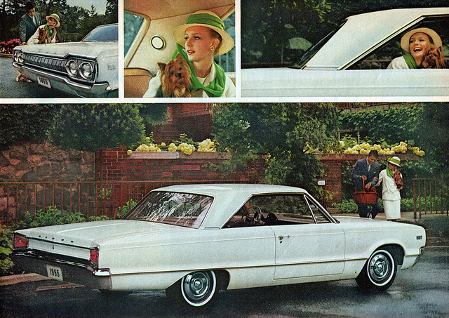 Dodge Stake 1965 #13