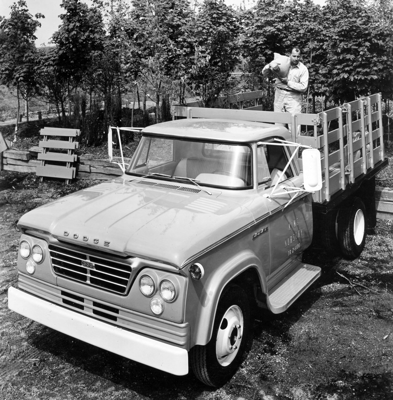 Dodge Stake 1965 #4