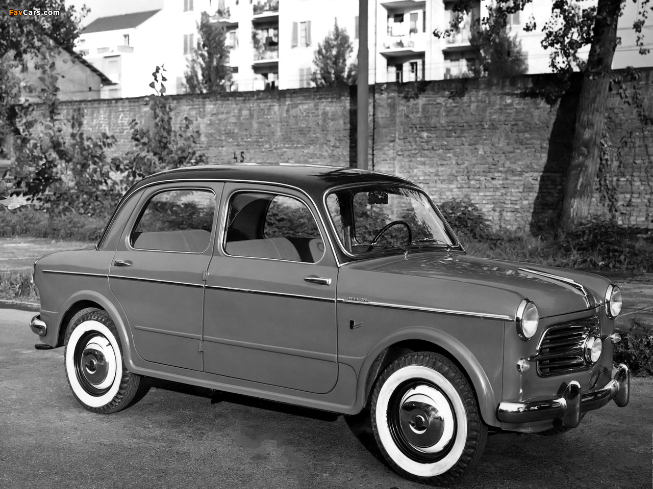 Fiat 1100 1953 #4