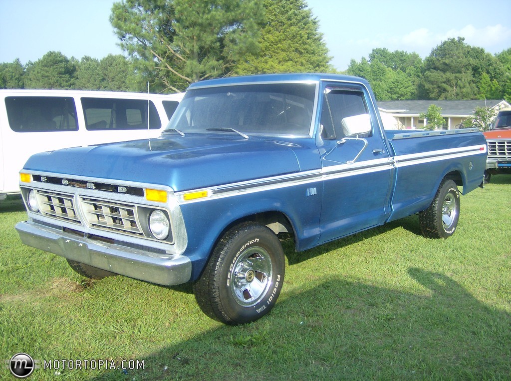 Ford F100 1976 #2
