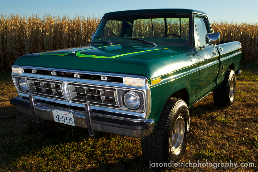 Ford F100 1976 #5