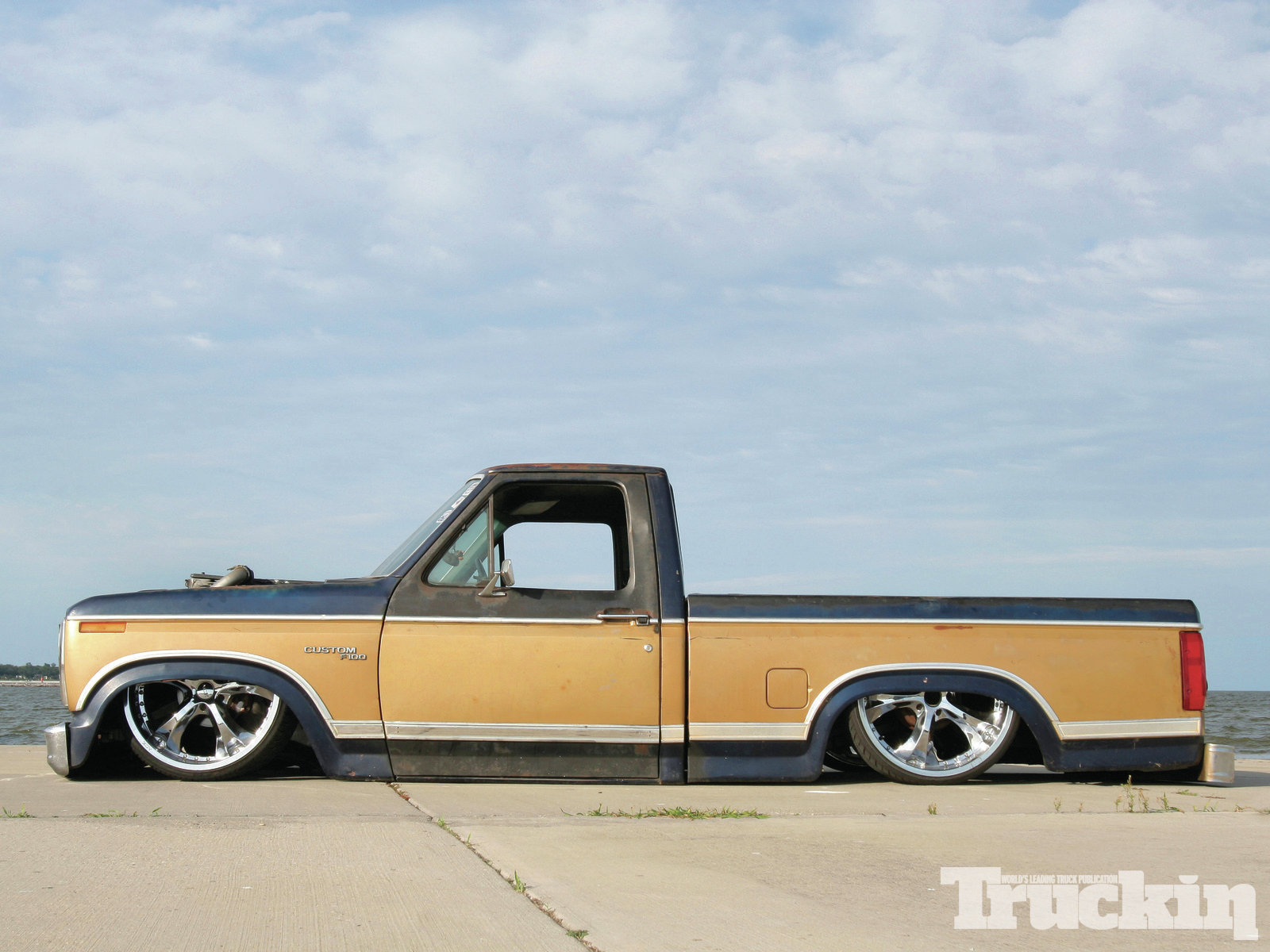 Ford F100 1980 #12