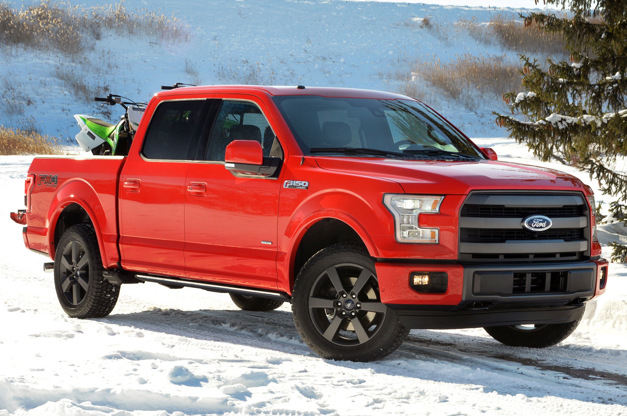 Ford F150 #8