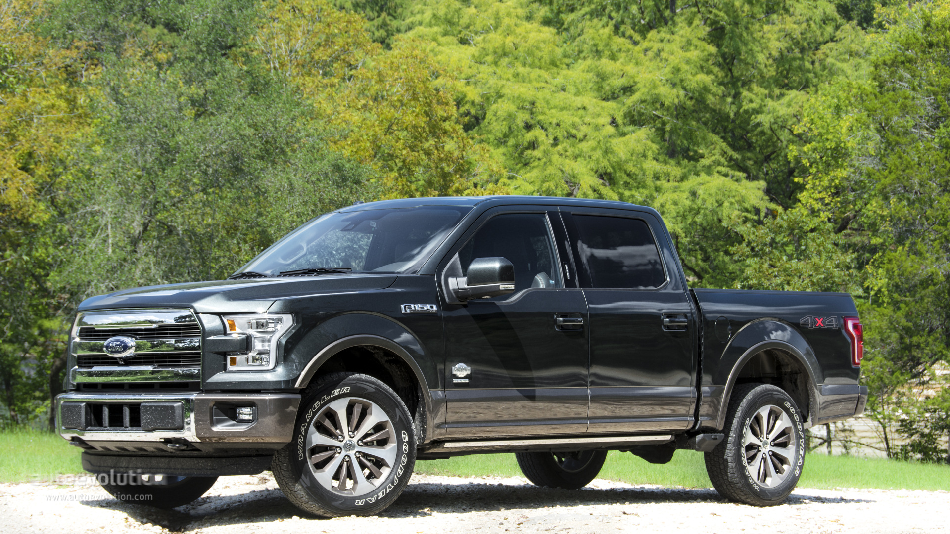 Ford F-150 2015 #11