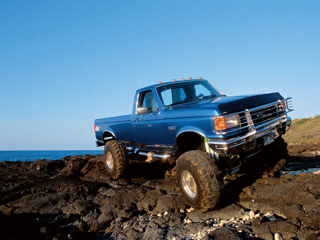 Ford F-250 1991 #5